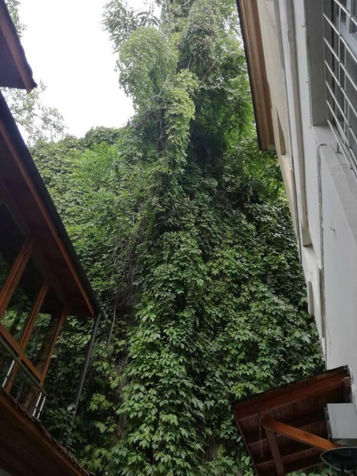 Guest Rooms Opera Plovdiv Ngoại thất bức ảnh